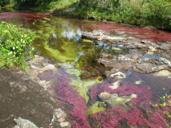 Rainbow River