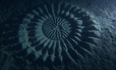 Underwater circles