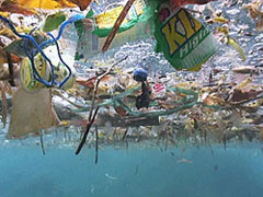 Garbage patch