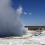 geyser yellowstone park