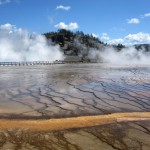 yellowstone park