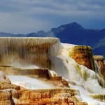 yellowstone park